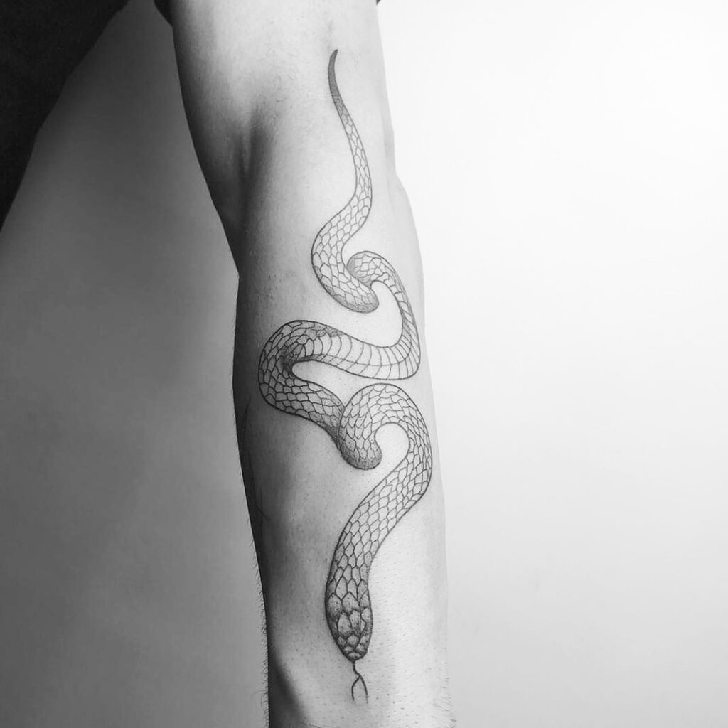 fineline snake tattoo by stilbruch Tätowierungen