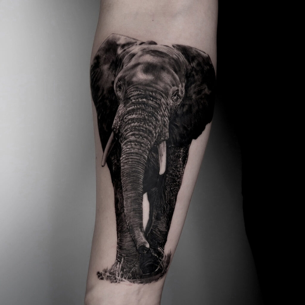 animal tattoo , elefant tattoo , realistic tattoo , stilbruch tätowierungen ,best tattoo studio berlin